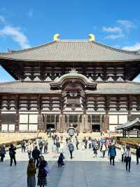 【東大寺大仏殿】
