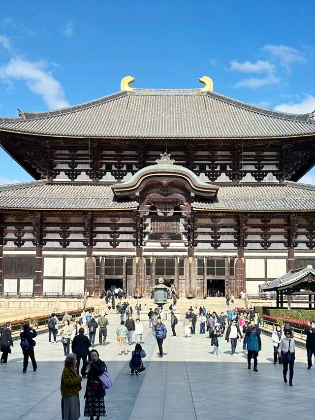 【東大寺大仏殿】
