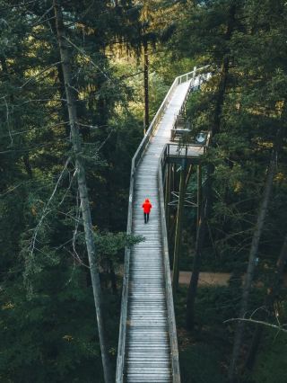 Twists, Turns, and Trees: A Day at Saarschleife🌳
