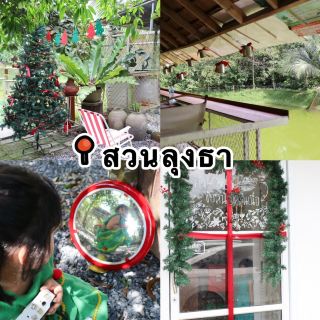 คาเฟ่สวนลุงธา คาเฟ่ลับๆ ในสวนสละ มะนัง สตูล
