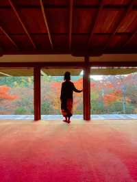 京都観光😊京都の古刹🍁世界遺産のお寺😊