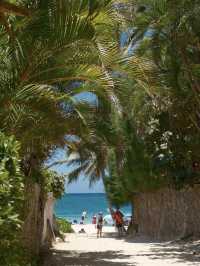 Kapalua Beach: Hawaii’s Golden Gem of Serenity