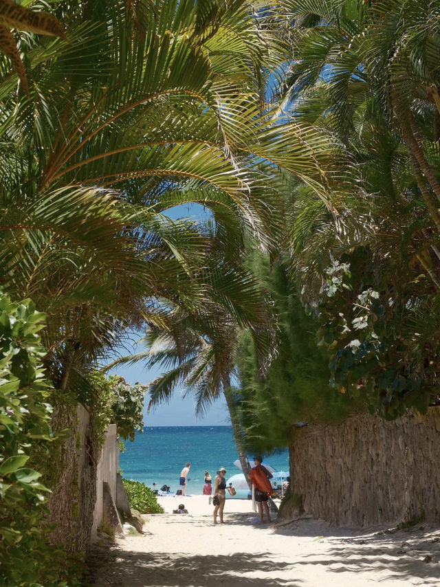 Kapalua Beach: Hawaii’s Golden Gem of Serenity