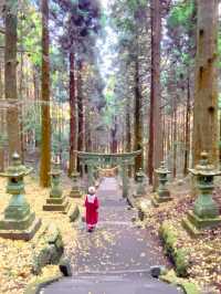 熊本観光☺️神秘的で荘厳な上色見熊野座神社⛩️✨