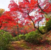 Niigata japan
