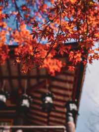 【奈良の談山神社】紅葉と歴史の絶景に感動間違いなし！