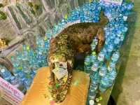 ชมพระพุทธรูปไม้แกะสลักปางไสยาสน์ วัดหนองไก่เถื่อน