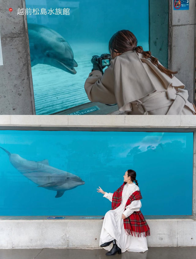 【福井】坂井市のオススメスポット3選