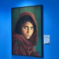 Stunning National Geographic photo gallery in Dalian