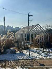 ❄️ 겨울철 별미 ❤️ 춘천의 따끈한 닭갈비 맛집투어 여행지 추천