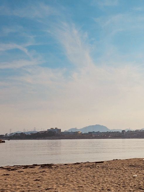 A Beach with Unique Features