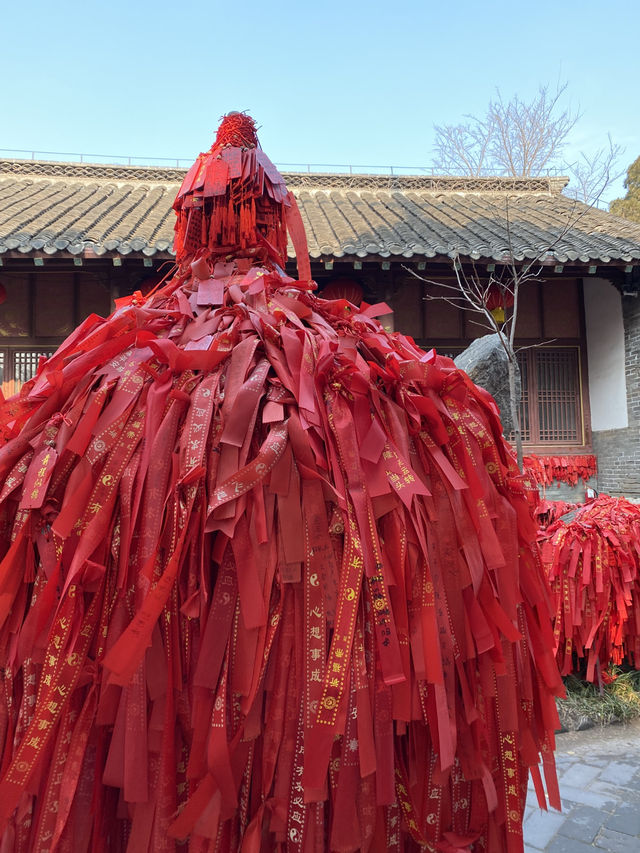 🇨🇳연태_연태산 공원에서 산책 한 번 해보세요 🇨🇳연태_연태산 공원에서 산책 한 번 해보세요