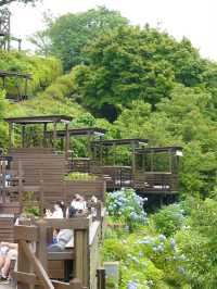 【伊豆パノラマパーク】絶景×美食で贅沢なひとときを🌿