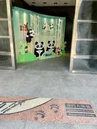 🐼😍澳門大熊貓館｜澳門親子行程景點推薦🧑‍🧑‍🧒‍🧒🧍‍♂️🧍‍♀️