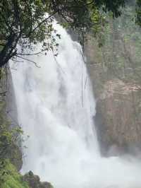 A Journey Through Nature’s Masterpiece: My Adventure at Khao Yai National Park