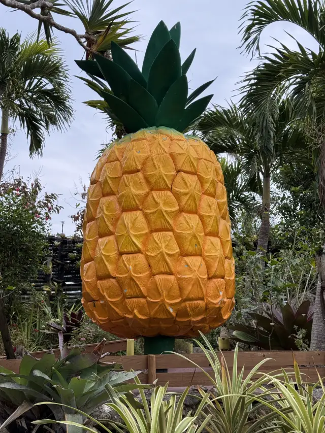 【沖繩縣/名護市】雨天也好玩！菠蘿公園的樂趣。