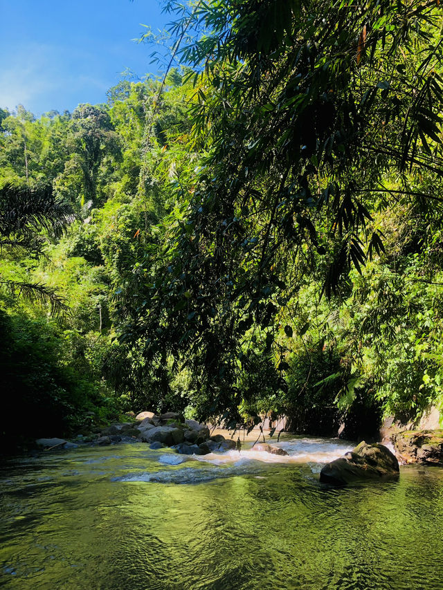 Rafing In Ayung River Bali by Pertiwi Adventure 🛶
