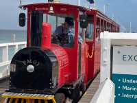 西澳洲必去景點🚂千與千尋海中火車🚂巴瑟爾頓碼頭 Busselton Jetty