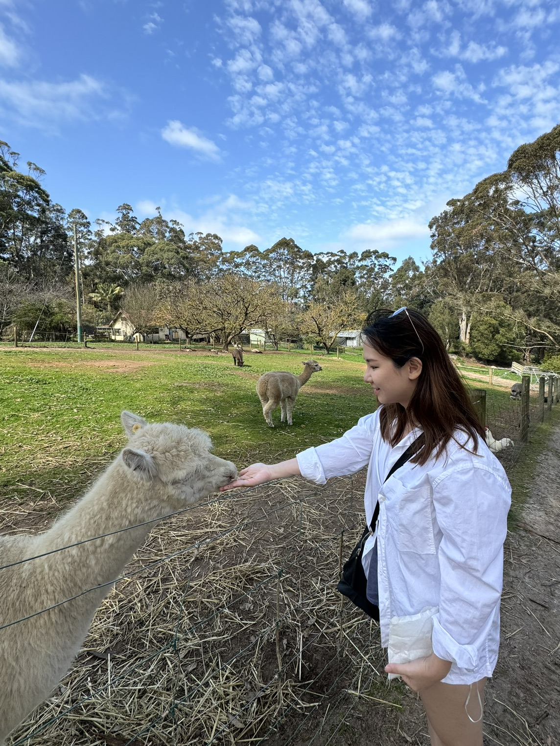 Up close & personal with furry friends! 