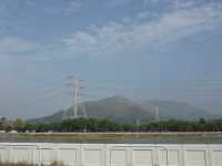 Hong Kong’s Hidden Wetlands: Our Nam Sang Wai Cycling Trip
