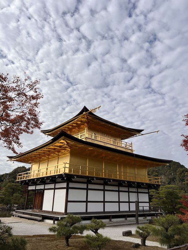 A Symphony of Colors — The Golden Glow of the Kinkakuji-Temple