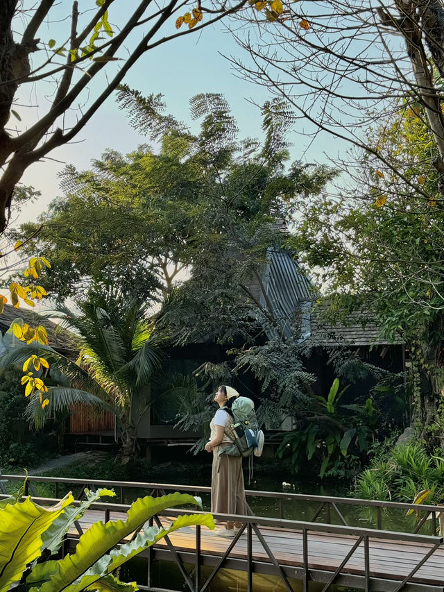 Breathe Rice Valley ที่พักเชียงใหม่ 🏡🌾💤🛌