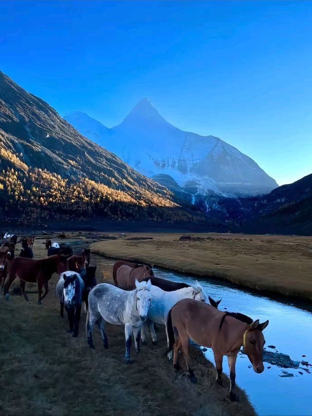 四川稻城🏔‐如夢似幻的人間仙境🤩，拍照打卡超級出片📸🤍