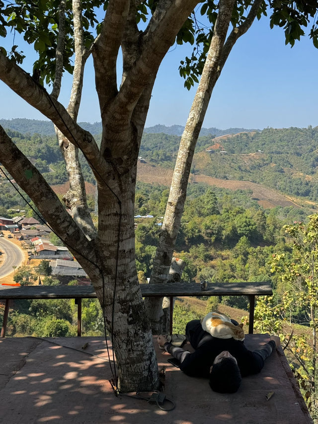 ดูเลเล | เชียงใหม่ 🏡🏡☀️🎞️