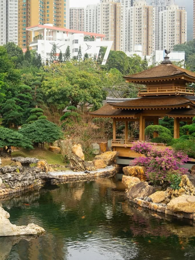 Unlocking Hong Kong: A Must-Visit Guide