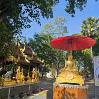 เที่ยวโบราณสถานเวียงกุมกาม
