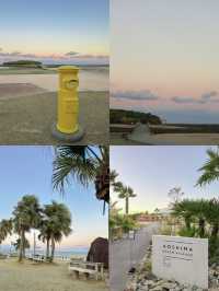 海と絶景がたくさん！宮崎の海岸線沿いオススメスポット🏖️