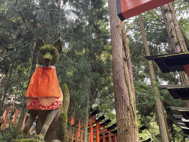 京都　伏見稲荷大社　伏見稲荷山