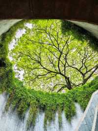 Fort Canning Park