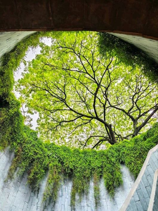 Fort Canning Park