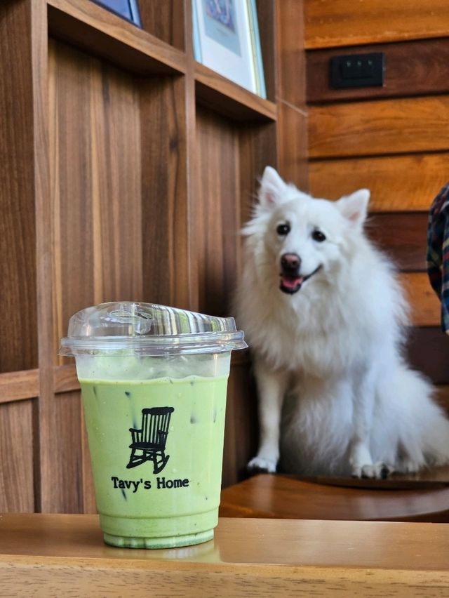 tavy's home : บางจาก