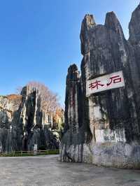 The Stone Forest Scenic Area