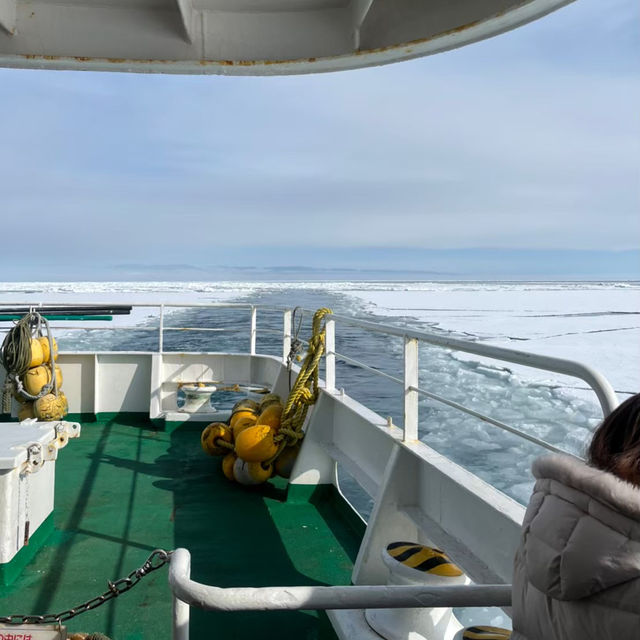 【北海道】知床の絶景を堪能！オーロラ号で迫力の流氷クルーズ