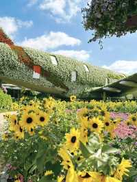 Dubai Miracle Garden: A Floral Wonderland in the Desert