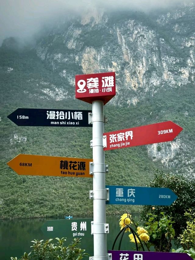 The Timeless Charm of Gongtan Ancient Town