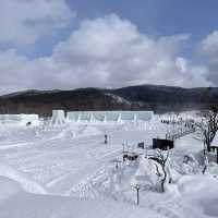 【岩手】氷の世界を体験できる注目スポット