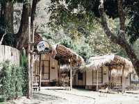 ไปฮีลใจใกล้ชิดธรรมชาติ Stay Wild & Cafe