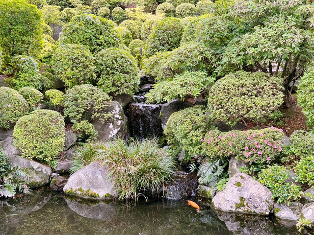 東京根津一日遊：文化與自然的完美結合 🌸🏞️