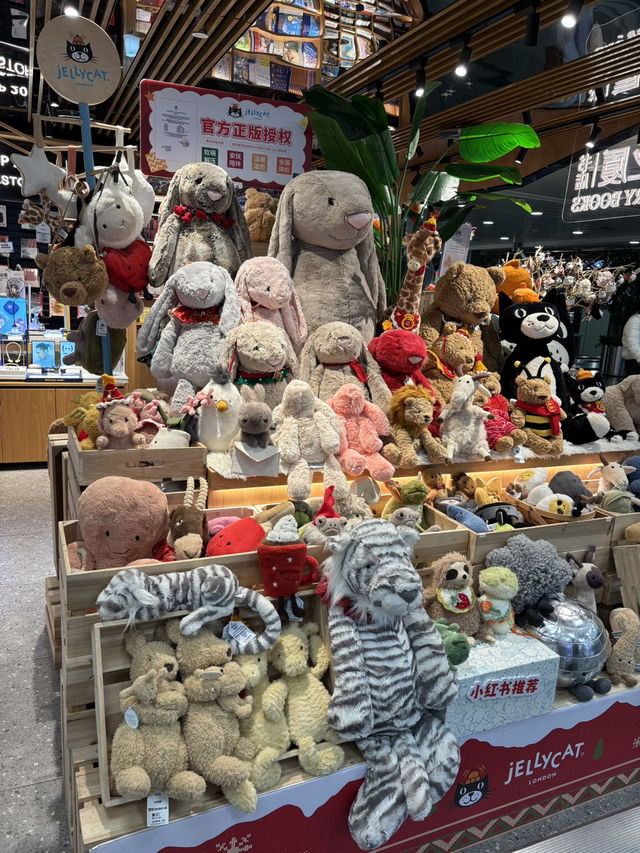 廈門✈️成都