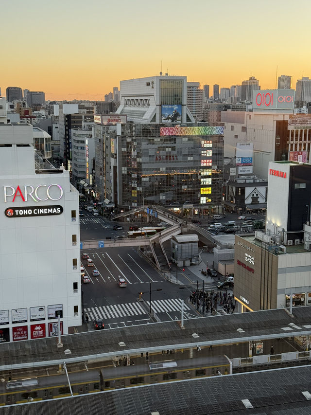 高空中觀賞晴空塔！樂天熊仔餅酒店！#東京酒店