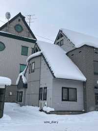 삿포로 4박5일 DAY4/5 여행일정