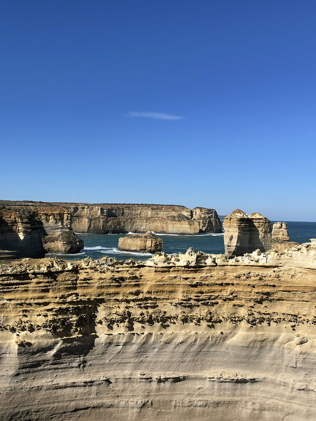 【メルボルン】世界一美しい海岸道路🇦🇺
