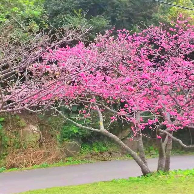 沖繩