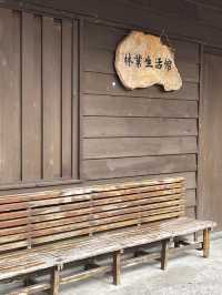 暢遊森林鐵道～林田山林業文化園區