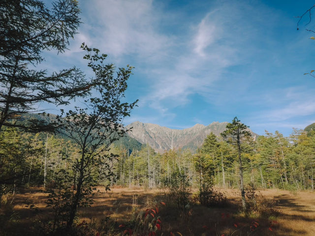 เที่ยวญี่ปุ่นแบบธรรมชาติที่ คามิโคจิ (Kamikochi)