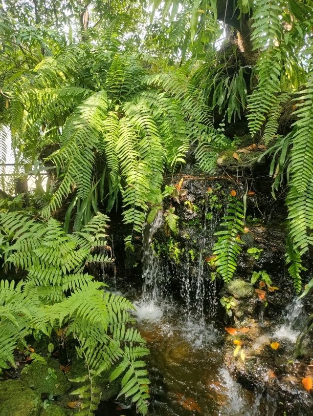 ต้นหว้าคาเฟ่ คาเฟ่บรรยากาศดี ใกล้สนามบินสุวรรณภูมิ
